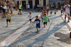 IMG_1180.jpg