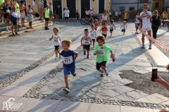 IMG_1181.jpg