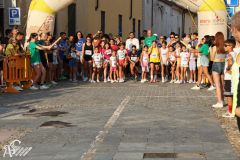 IMG_1206.jpg