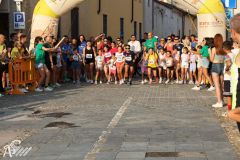 IMG_1207.jpg
