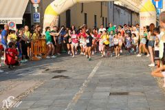 IMG_1209.jpg