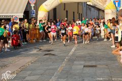 IMG_1210.jpg