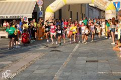 IMG_1211.jpg
