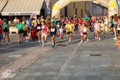 IMG_1212.jpg