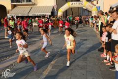 IMG_1219.jpg