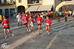IMG_1223.jpg