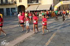 IMG_1224.jpg