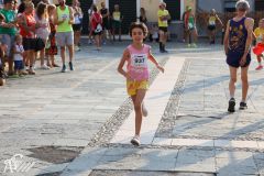 IMG_1233.jpg