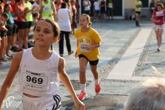 IMG_1237.jpg