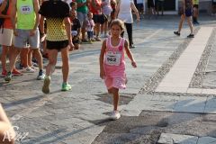IMG_1242.jpg