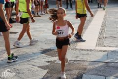 IMG_1245.jpg
