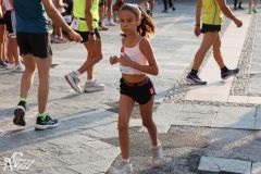 IMG_1246.jpg
