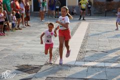 IMG_1251.jpg