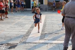 IMG_1254.jpg