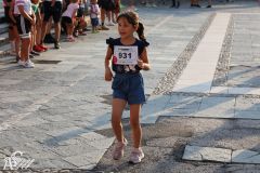 IMG_1255.jpg