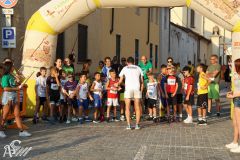 IMG_1278.jpg
