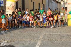 IMG_1281.jpg