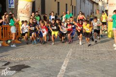 IMG_1284.jpg