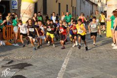 IMG_1285.jpg