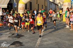 IMG_1286.jpg