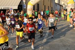 IMG_1288.jpg