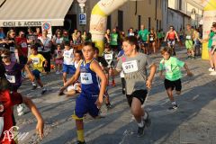 IMG_1289.jpg