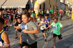IMG_1290.jpg