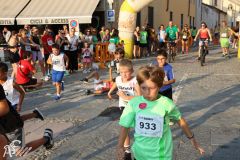 IMG_1291.jpg