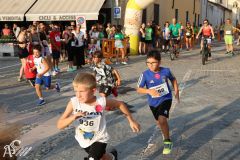 IMG_1292.jpg