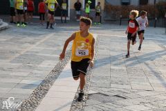IMG_1298.jpg