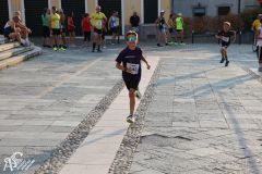 IMG_1303.jpg