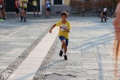 IMG_1311.jpg