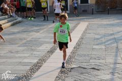 IMG_1317.jpg