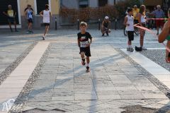 IMG_1319.jpg