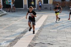 IMG_1323.jpg