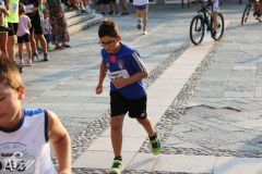 IMG_1333.jpg