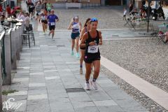 IMG_2036.jpg