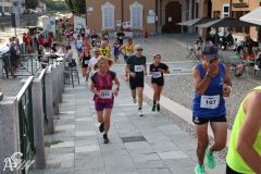 IMG_2221.jpg