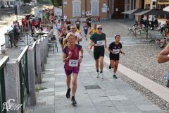 IMG_2222.jpg