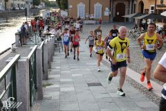 IMG_2227.jpg