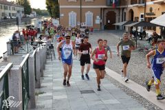 IMG_2230.jpg