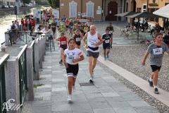IMG_2234.jpg