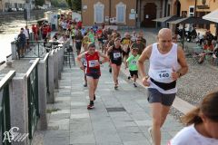 IMG_2237.jpg