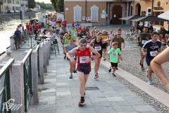 IMG_2238.jpg