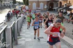 IMG_2239.jpg
