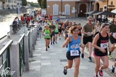 IMG_2241.jpg