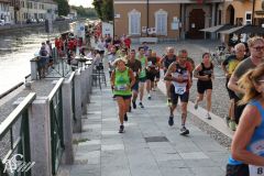 IMG_2242.jpg