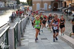 IMG_2243.jpg
