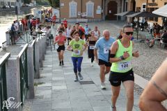 IMG_2249.jpg