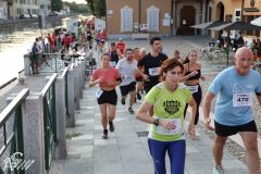 IMG_2252.jpg